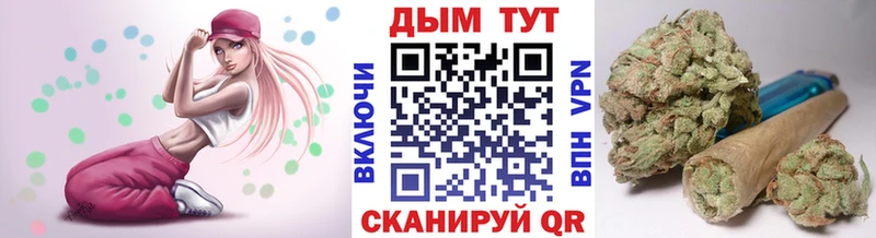 Купить где Куса Каннабис гибрид